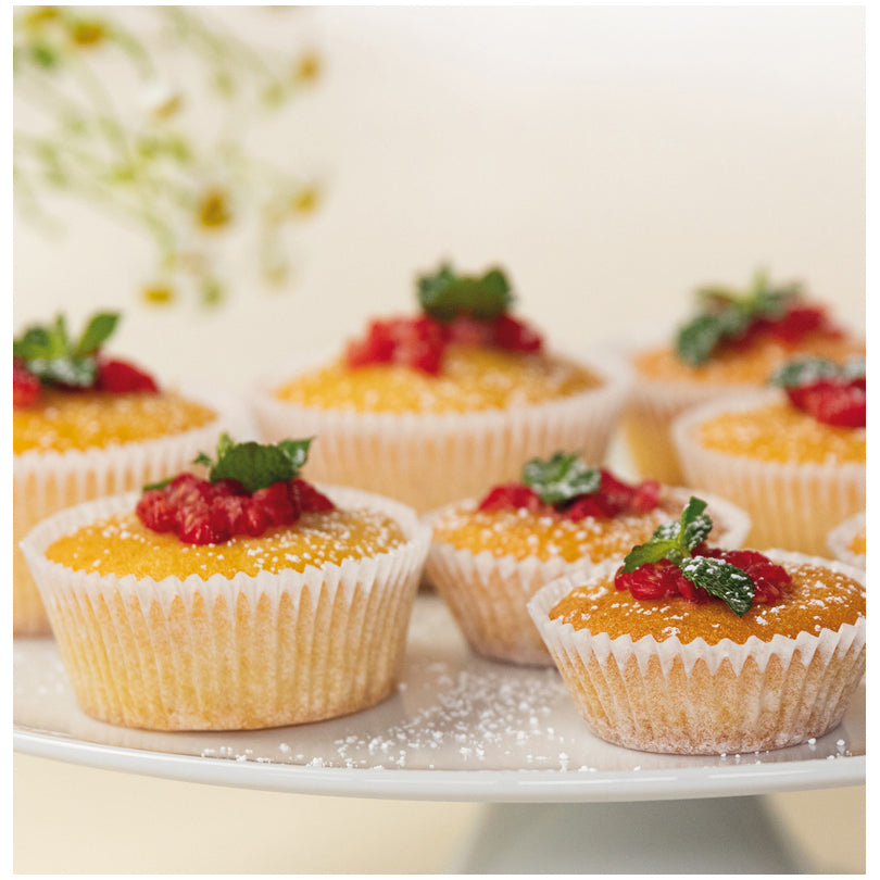 Pirottini Mini, confezione 100 pezzi cm Ø3,5x1,9