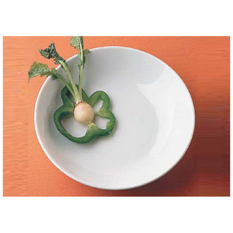 PIATTO FONDO GENERALE CM20