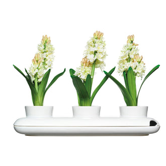 Vaso per erba AROMAT.TRIPLO GRES CM40X13