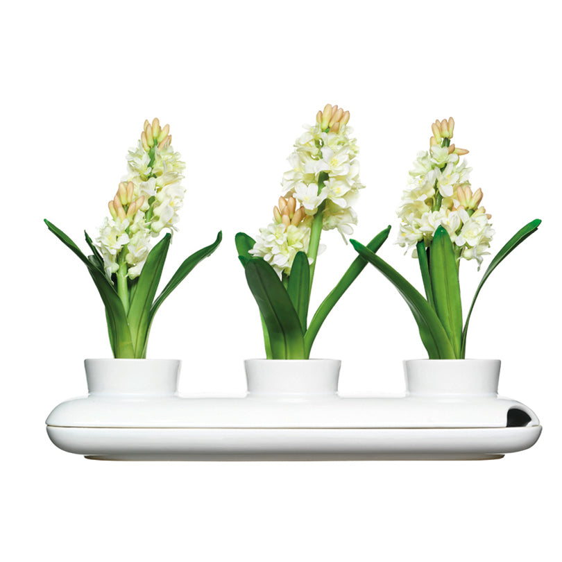 Vaso per erba AROMAT.TRIPLO GRES CM40X13