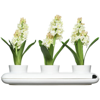 Vaso per erba AROMAT.TRIPLO GRES CM40X13