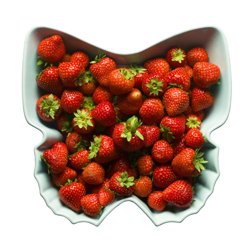 Ciotola farfalla GRANDE GRES VERDE CM25X24X13