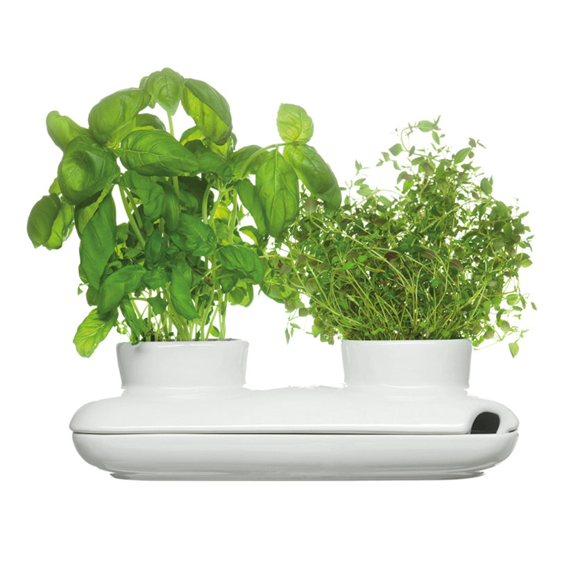 Vaso PER ERBE "DUO" GRES CM27X13X8