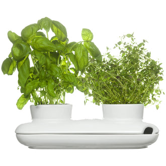 Vaso PER ERBE "DUO" GRES CM27X13X8