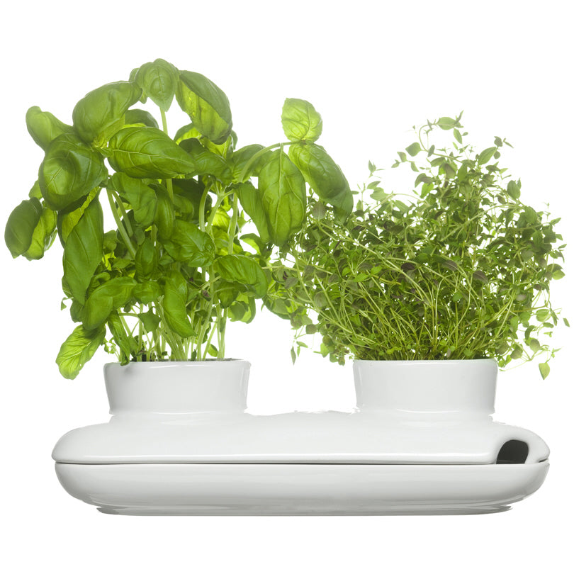 Vaso PER ERBE "DUO" GRES CM27X13X8