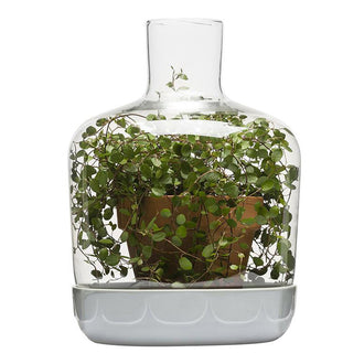 Vaso con cupola "MINI" GRIGIOVERDE CM 19,5X30 CM 19,5X30