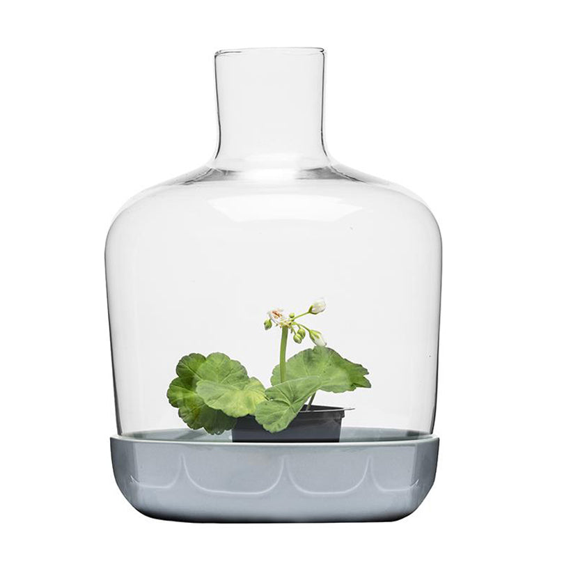 Vaso con cupola "MINI" GRIGIOVERDE CM 19,5X30 CM 19,5X30