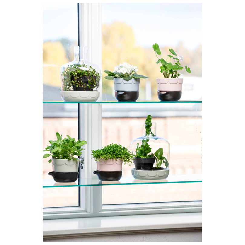 Vaso con cupola "MINI" GRIGIOVERDE CM 19,5X30 CM 19,5X30