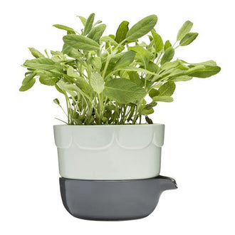 Vaso FIORI C.RISERVA D'ACQUA VERDE CM 13,5X12 CM 13,5X12