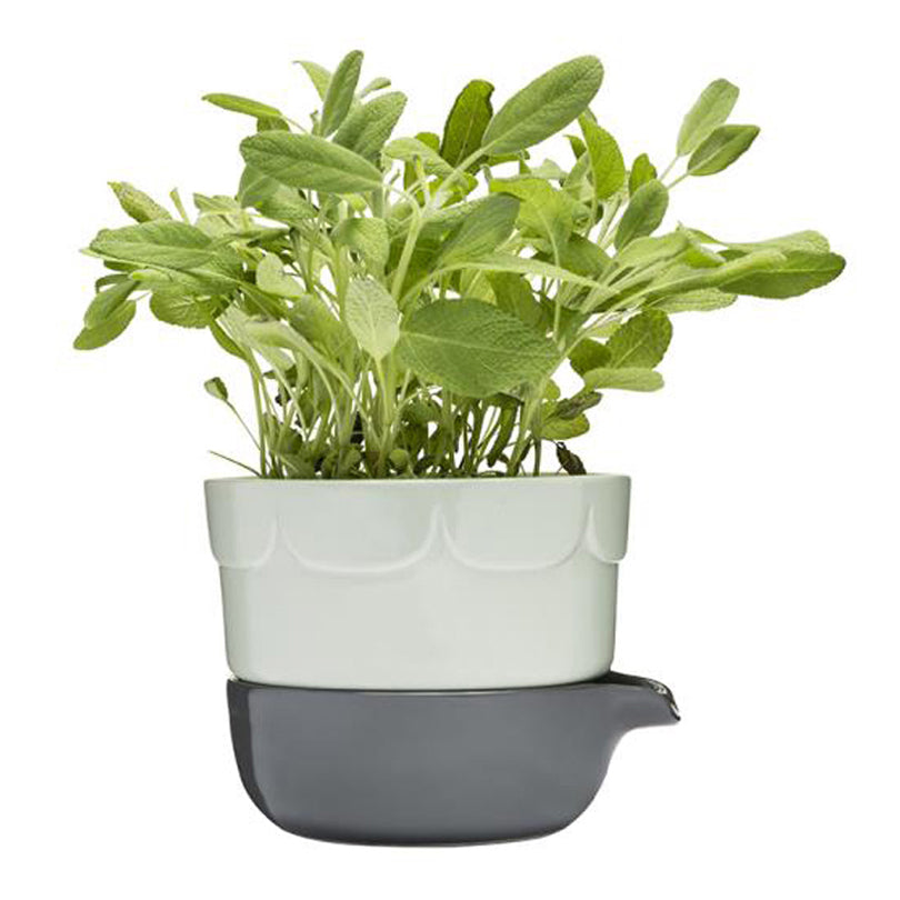 Vaso FIORI C.RISERVA D'ACQUA VERDE CM 13,5X12 CM 13,5X12