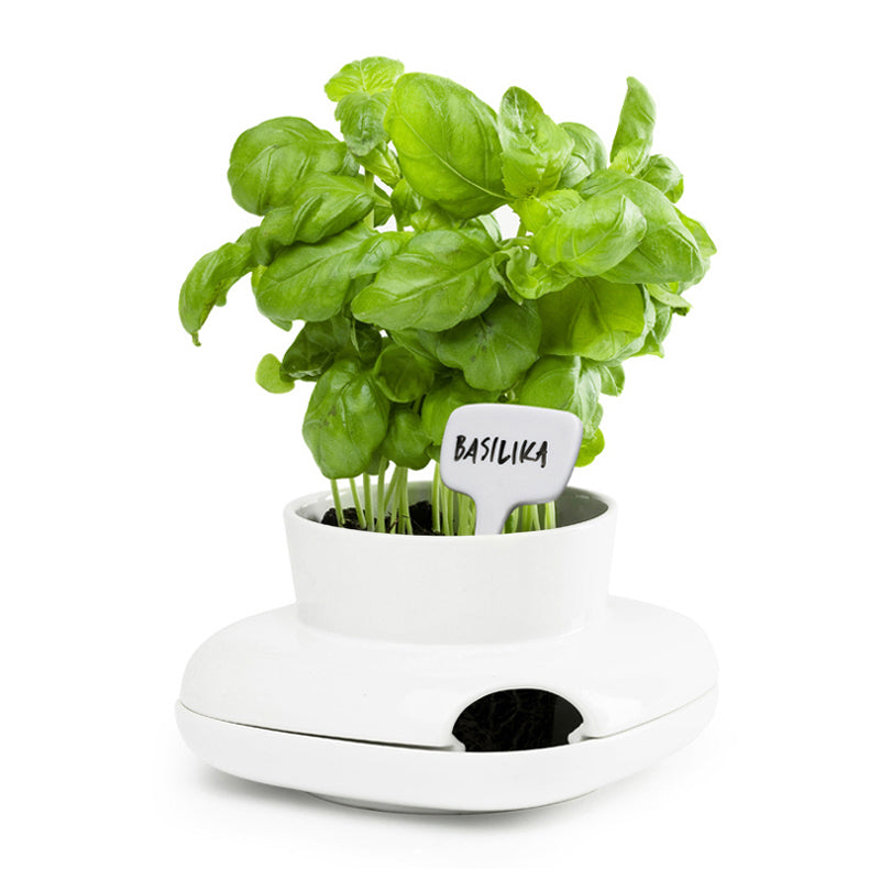 Ethichette 4PZ. con penna  BCO PORC. CM 6X0,5X7,5 CM 6X0,5X7,5