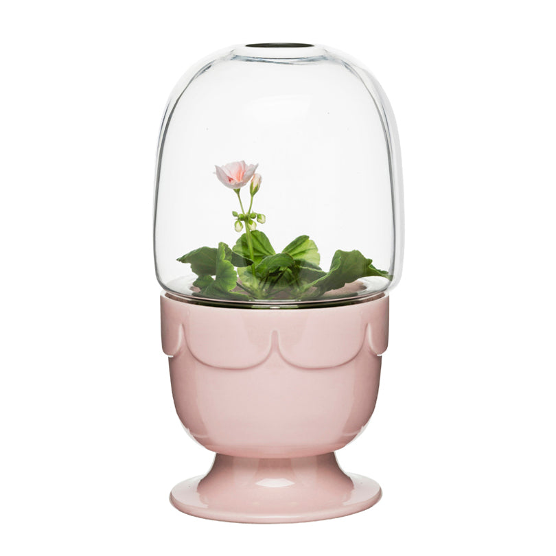 Vaso con cupola  PINK GRES/VETRO CM 11X22,5 CM 11X22,5