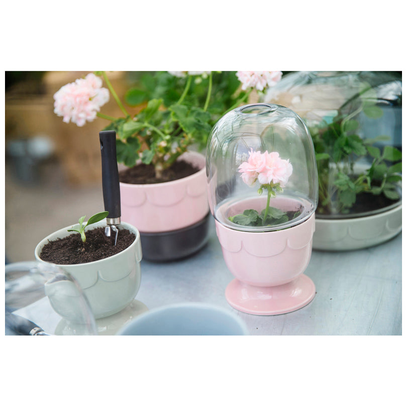 Vaso con cupola  PINK GRES/VETRO CM 11X22,5 CM 11X22,5