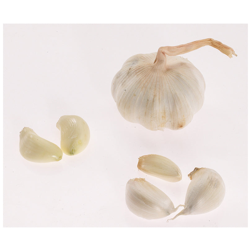 Schiacciaaglio Extracta cm 16x5x3,3