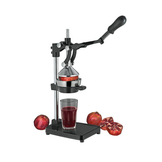 Spremimelograno "Profi" cm 25x18x48