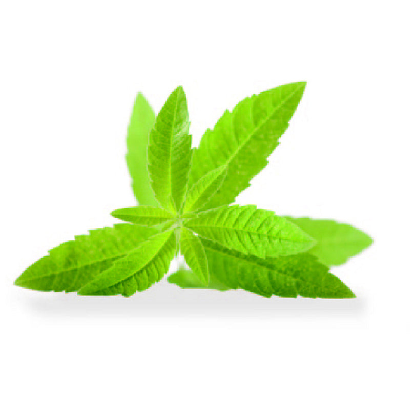 Mezzaluna 1 lama in scatola Cm 17,5