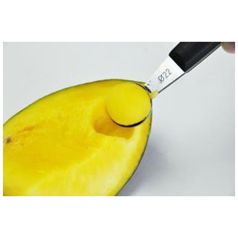 Scavino melone doppio cm 2,2/2,5