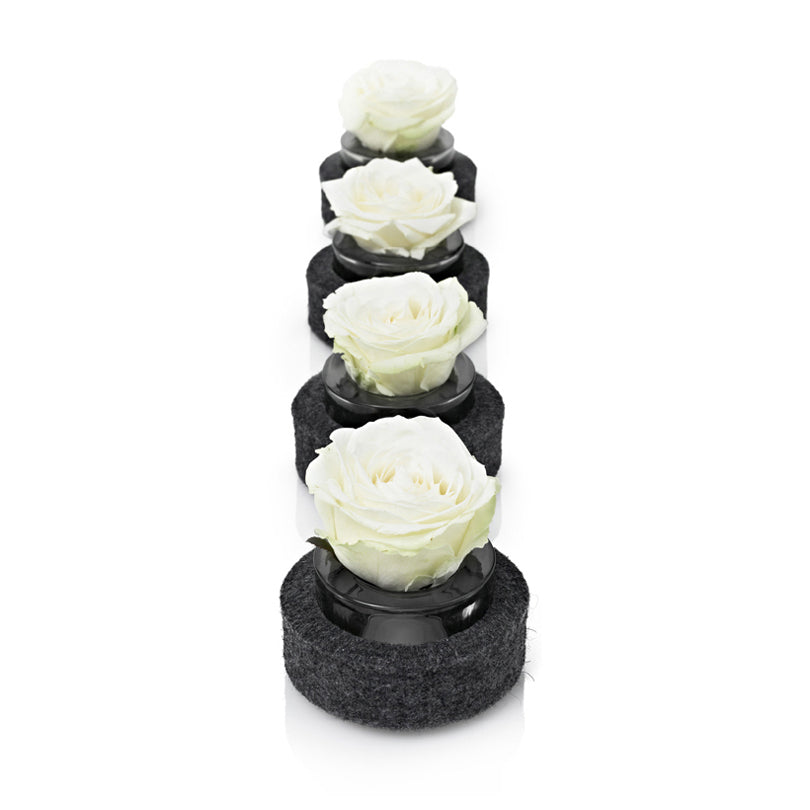 Portalumino "Filo" per 4 lumini cm 12x60