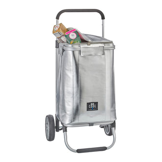 Trolley con borsa termica rimovibile BE CooL Silver, large l 36/cm 30x25x48/98