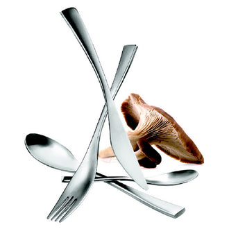 SERVIZIO POSATE 16PZ SAT.CONF.REG.