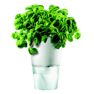 VASO CER.C.RIS.ACQUA CHALK WH.CM11