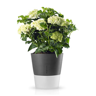 COPRIVASO A RIS.D'ACQUA GRIGIO CM 27 CM 27