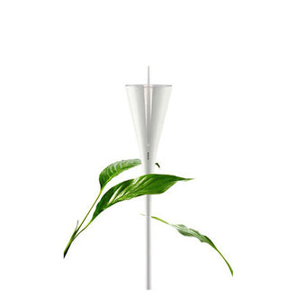 MISURA PRECIPITAZIONI BIANCO MM 50/CM 10X110 MM 50/CM 10X110