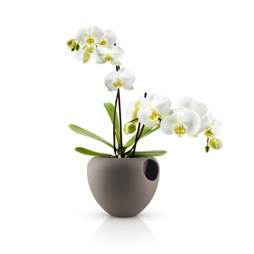 VASO P.ORCHIDEA C.RIS.D'ACQUA MARR. CM 17 CM 17